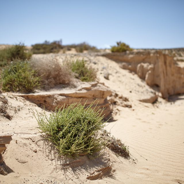 Fuerte_18_04_2014_0908 Kopie