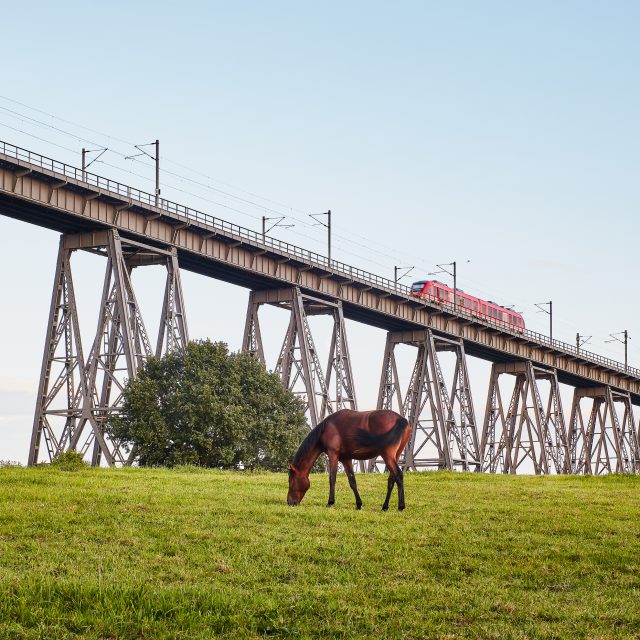 IGS_01_09_2017_1022_Vorscheu Kopie