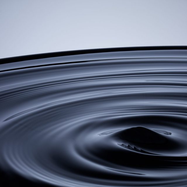 Schwimmer_22_11_10 2548-2