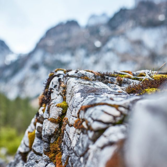 Österreich_12_04_2017_0435 Kopie